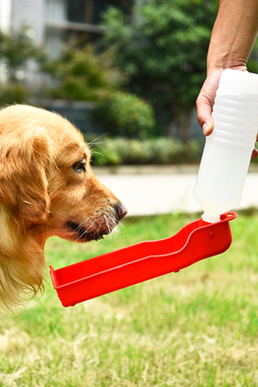Portable Pet Travel Water Bowl