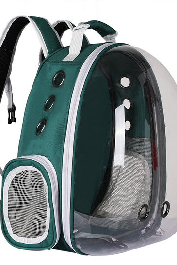 Space Capsule Pet Carrier
