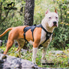 Dog Harness for Hiking and Trail Running