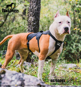 Dog Harness for Hiking and Trail Running