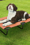 Folding Dog Cot