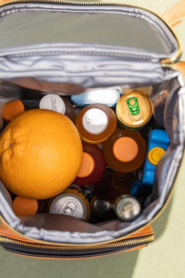 Waterproof Insulated Backpack Cooler