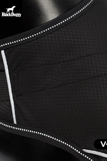 Dog Harness for Hiking and Trail Running