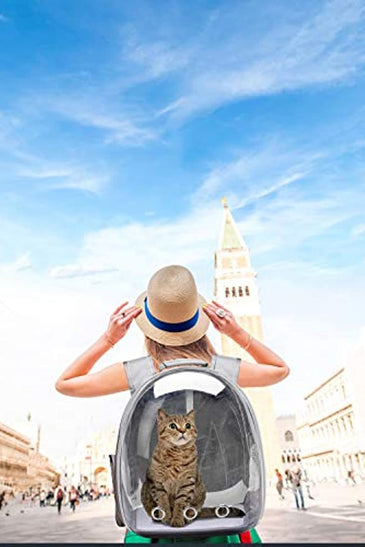 Space Capsule Pet Carrier